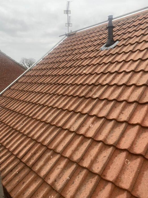 Roof pressure clean (After)