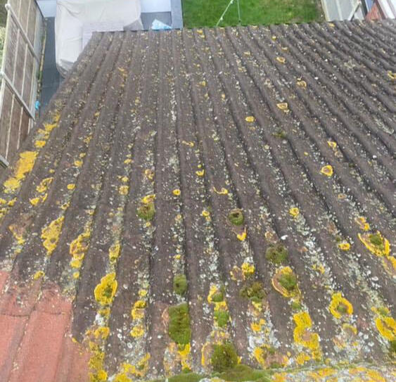 Roof pressure clean (Before)